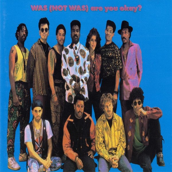 Was (Not Was) - Are You Okay? (CD)