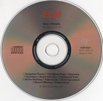 Steve Tibbetts - The Fall Of Us All (CD)