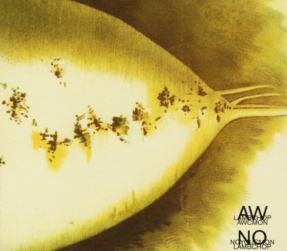 Lambchop - AWCMON / NOYOUCMON (2CD)