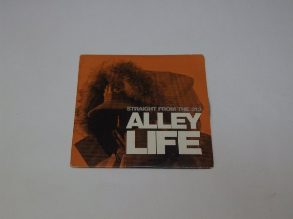 Alley Life - Straight From The 313 (CD)