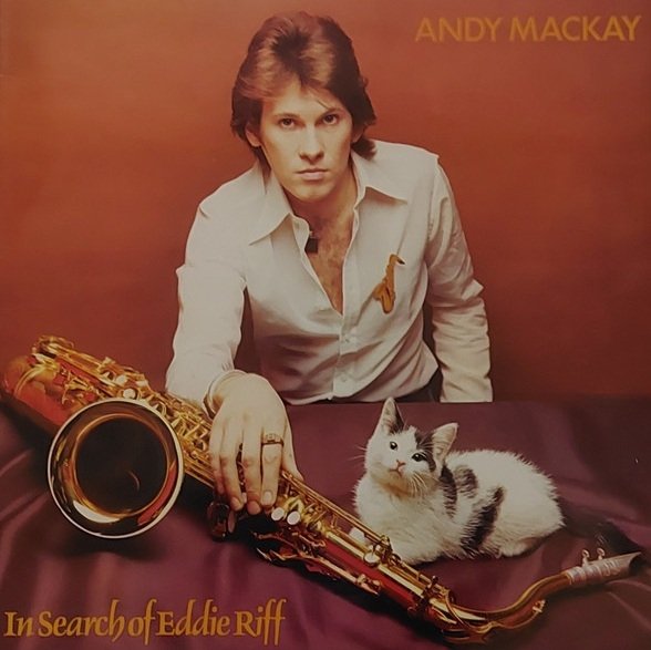 Andy Mackay - In Search Of Eddie Riff (LP)