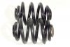 _Sprężyny tył VW Transporter T4 1990-1995 2.4D