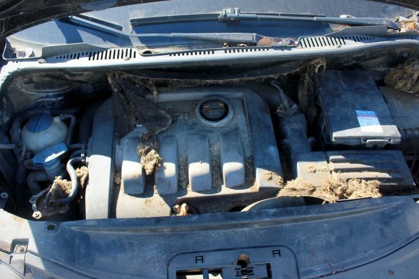 Skrzynia biegów GQR VW Caddy 2K 2005 1.9TDI BJB