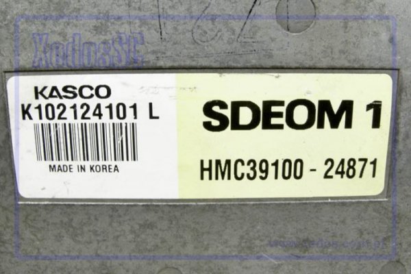 STEROWNIK KOMPUTER HYUNDAI LANTRA 93 1.5 391002487