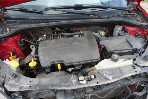 _Drzwi przód prawe Renault Clio III 2008 Hatchback 5-drzwi (kod lakieru: OV727 - RED BRISK BC)