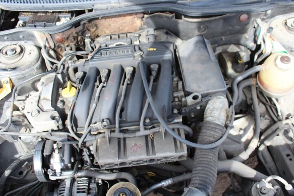 Drzwi Tył Prawe Renault Megane I Lift 2000 1.4i Hatchback 5-drzwi (gołe drzwi bez osprzętu)