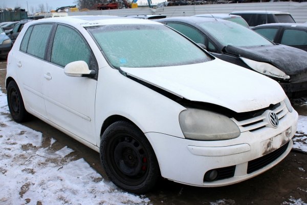 VW Golf V 1K 2004 2.0TDI BKD Hatchback 5-drzwi [B/C]