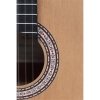 Prodipe Guitars Primera 4/4 LH - gitara klasyczna leworęczna