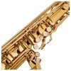 V-TONE TS 100 saksofon tenorowy z futerałem zestaw