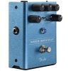 Fender Mirror Image Delay
