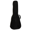 Ritter Arosa RGA5-L/SBK Sea Ground Black Gigbag na gitarę Les Paul