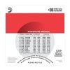 D'Addario EJ39 - Phosphor Bronze 12-String 12-52