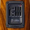 Dowina Rioja DCE FG SPE gitara elektro-akustyczna