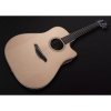 Furch Green Dc-SR LR Baggs Stage Pro Element