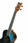 Ortega RUGH-BKT Black Ghost Series Ukulele tenorowe