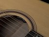 Norman B50 12-string Solid Sitka Spruce