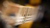 Fender Player Telecaster MN Butterscotch Blonde