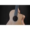 Furch GN2 CW + L.R. Baggs