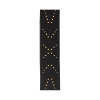 D'Addario 25LH00 Vented Leather Star Dust