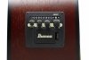 Ibanez PJ50E-OAH Vintage Amber Sunburst