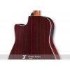 Furch Green Dc-SR LR Baggs SPE Master's Choice Gitara Elektro-Akustyczna