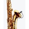 DPA d:vote 4099 Sax Mikrofon do saksofonu