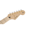 Fender Richie Kotzen Stratocaster Maple Fingerboard Transparent Red Burst