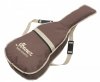 Ibanez AE200JR-DBF Dark Tide Blue Flat Junior