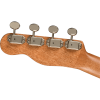 Fender Zuma Exotic Concert Ukulele Walnut Fingerboard Bocote