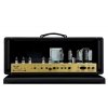 Friedman Brown Eye 100 - głowa gitarowa 100W