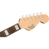 Fender Palomino Vintage AGN Aged Natural