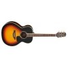 Gitara akustyczna Takamine GN51BSB