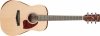 Ibanez PF15JR-OPN Open Pore Natural Dreadnought Junior