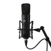Warm Audio WA-87 R2 Black - Mikrofon Pojemnościowy