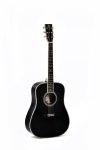 Sigma SDR-42 Nashville Johnny Cash