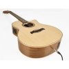 Richwood SWG-130-CE Songwriter O