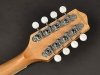 Richwood RIBZ-40 Bouzouki 