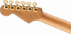 Charvel Pro-Mod DK24 HH 2PT CM Poplar Burl Caramelized Maple Fingerboard Transparent Black Burst
