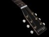 Norman B20 Natural GT Presys II