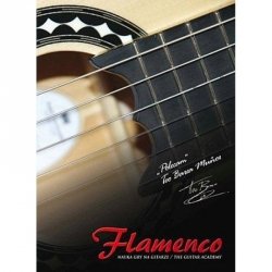 ABSONIC DVD Flamenco nauka gry na gitarze