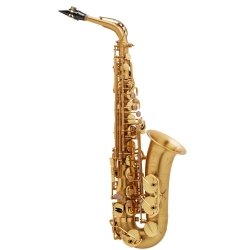Henri Selmer Paris - saksofon altowy SERIES III Szcztkowany