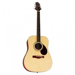 Samick D-5 N - gitara akustyczna