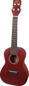 Kohala Kine'O Concert