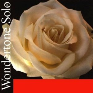 Pirastro Wondertone Solo struny skrzypcowe A syntetyczną