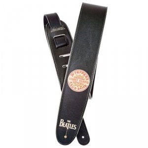 D'Addario Planet Waves 25LB05 pas gitarowy