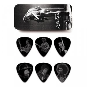 Dunlop JHPTR06M Silver Portret puszka 12 kostek