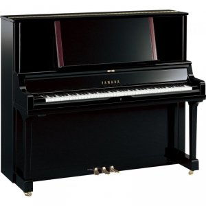 Yamaha YUS5 PE