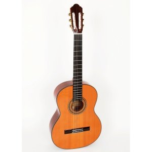 Pablo Vitaso VCG-40C Elev 1/2