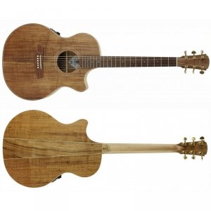 Cole Clark TL2EC-BLBL