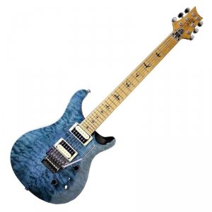 PRS SE Custom 24 Floyd Roasted Maple Whale Blue